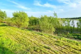 负氧离子，能否促进儿童发育？图片