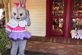 星黛露被男性游客拍打头部，迪士尼回应：游客有类似行为或将被禁止再次入园图片