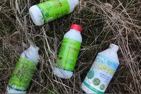 草甘膦加食盐的除草效果咋样？同等成本下专用助剂好于食盐图片