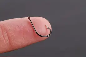 野钓怎么选鱼钩？老钓鱼人告诉你，用这3种鱼钩错不了图片