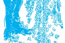 假如眼睛欺骗了你，该如何证明「眼见不为实」？图片