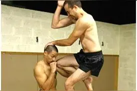 功夫谭 • 简谈泰拳克星——缅拳斌道′图片