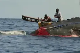 原始捕鲸猎人：用最简陋的武器，就能捕杀五条10米长的抹香鲸图片