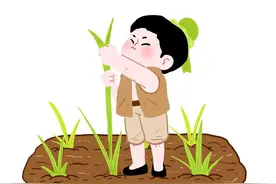 纠结一个暑假后我决定：坚决不给娃儿报奥数班和英语班。图片