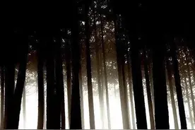 福祸无门惟人自召图片