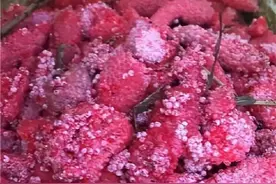 携带致命寄生虫！看到这种“粉色草莓”请注意图片