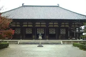 奈良，梅花鹿的净土图片