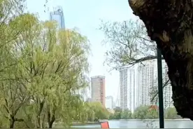 今天沈阳一男子青年公园湖中寻短见！散步的交警火速下水施救......图片