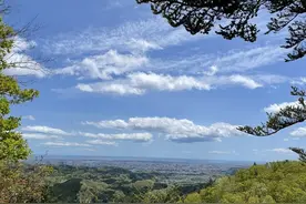 长期持有一只股票，反复做t，可以赚钱吗？一位成功老股民的告诫图片