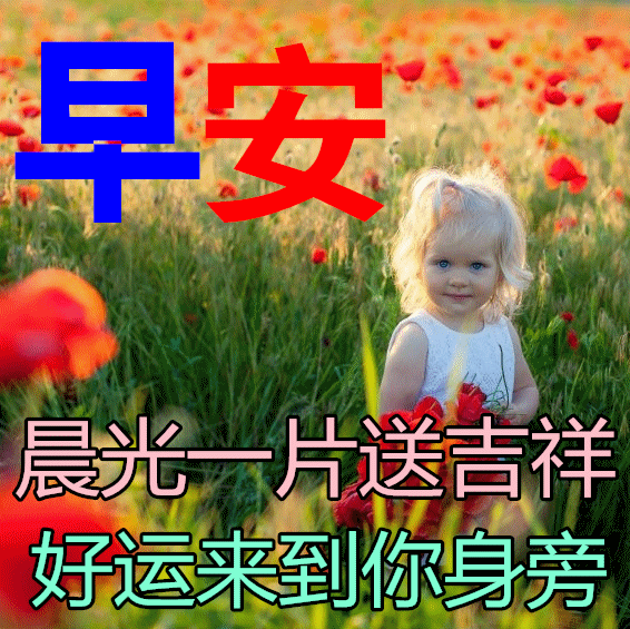 11月15日星期二最新早上好问候图片带字 微信群发暖心的早安图片