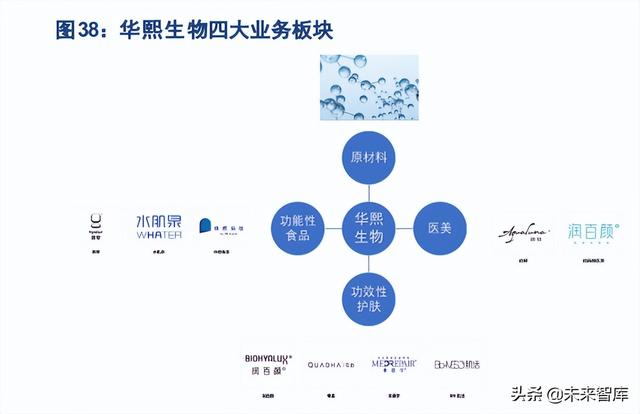 医美填充针剂行业专题研究：从发展路径和生命周期看机会