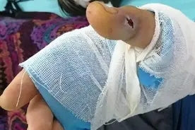 用活蛇泡酒，蛇身体里的寄生虫会被酒泡死吗？可能连蛇都泡不死图片