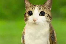 什么是真正的自己图片