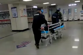 练习科目二撞车，致两名学员死亡，浙江一驾校教练被判刑图片