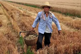 八十岁老父亲步行两天一夜，只为看一眼生病的女儿，泪目了图片