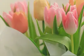 为什么要过“妇女节”？这是我听过最好的答案。图片