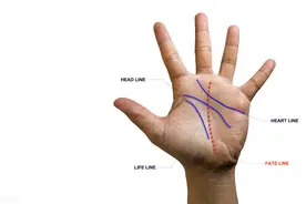 一命、二运、三风水、四积德、五读书怎么理解？图片