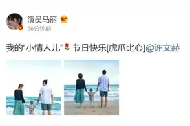 马丽情人节晒全家福！2岁儿子首曝光脑袋真尖，小11岁老公成奶爸图片