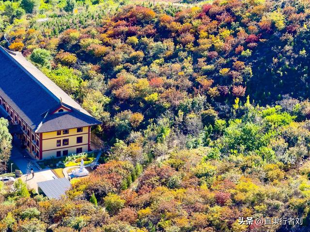 保定赏秋第一弹——徐水兜率寺红叶已至，顺便吃了第一次斋饭原创