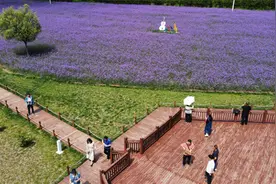 甘肃合水花溪谷景区目前客流量已达5万多人，旅游综合收入达130多万元图片