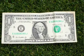 国外考驾照的冷知识：揭秘不同国家的考驾驶证奇闻趣事！图片