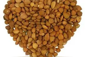 跟名师学用药：杏仁之后下与不后下图片