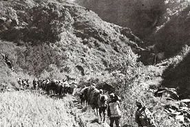 扭转战局：刘邓大军千里跃进大别山图片