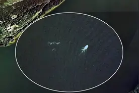 新疆喀纳斯湖拍到不明水生物，长达10米，这次拍得很清晰图片