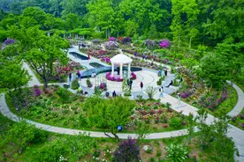 【全国科普教育基地巡礼】南京中山植物园：湖光山色间，枕着花海望星空图片