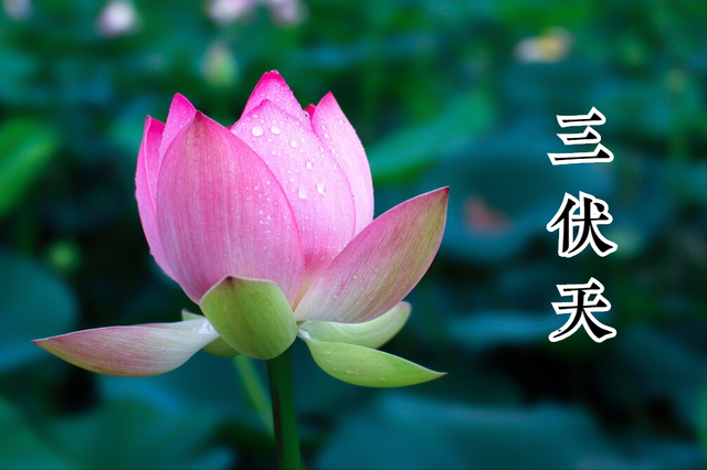 “七月中、腊月半，老人过得心胆颤”，为啥？这6种食物或可缓解