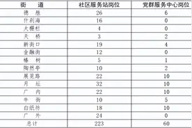 西城区2022年第一批面向社会 公开招聘社区工作者和党群服务中心 专职党务工作者公告图片