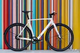 完美隐藏电机 ROSE发布全新SNEAK+单速电助力城市车图片