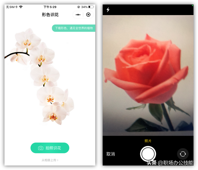 8个爱不释手的微信小程序,个个好用不要钱,请大家低调使用