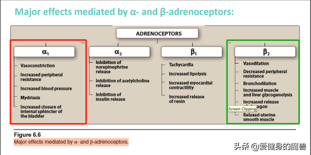 濂借韩鏉愬彧浼氭槸浣犵殑鍔犲垎椤癸紒浣犲仛濂藉鏃ョ殑鍑嗗浜嗗悧锛? onerror=