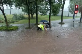 重庆大雨冲出大蛇，男子冒雨擒拿，蛇咬人除了打120还能怎么办？图片