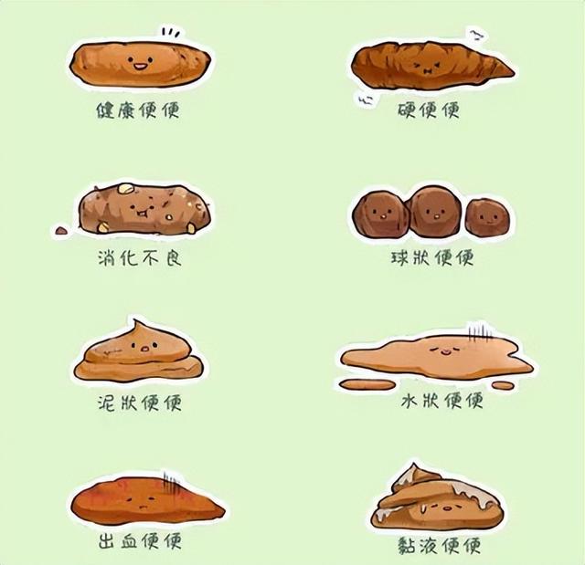 狗狗经常腹泻拉肚子是怎么回事？主人看看这个就知道了