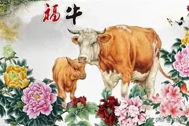 2023兔年生肖属牛之人各方面运势及运程！图片