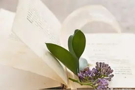 一夜暴富当然好图片