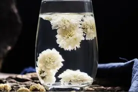 三伏天“最值得”喝的菊花茶公布，野菊花未上榜，看你喝过几个图片