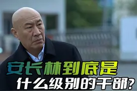 《狂飙》安长林是什么级别的干部，为什么他的举报信能受到重视？图片