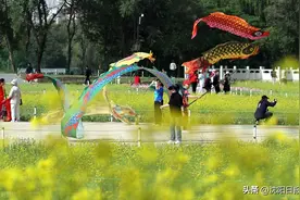 “满150减50元”不多了，快到“云闪付”APP领旅游消费券图片