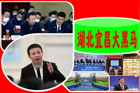 湖北宜昌大黑马：创湖北第3大民企，年入802亿，居中国双料500强图片