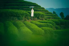 生命的高度图片