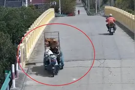 爱犬“私自外出”，民警循线追踪送它回家图片