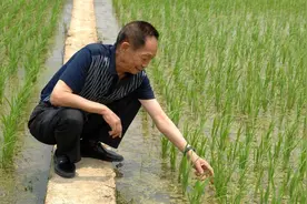 科学家怎样才能称之为伟大？袁隆平：只有心系人民才能称之为伟大图片