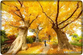 咋用手机给照片加相框，心形圆形方形各种形状，都能加图片