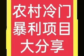 200个农村项目大分享(6):你看不起的项目，或许远比你赚得多图片