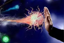 科学家发现：连续两天不吃饭可以重启免疫系统，是事实真相吗？图片