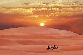 在沙漠中遇到渴死的骆驼，为什么不能碰？碰了后果很严重吗？图片