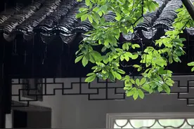 阴雨天衣服不干怎么办？应对衣物潮湿有妙招图片